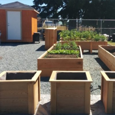 community_garden